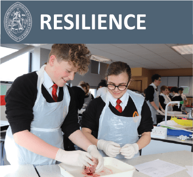 RichmondSchool - Values - Resilience
